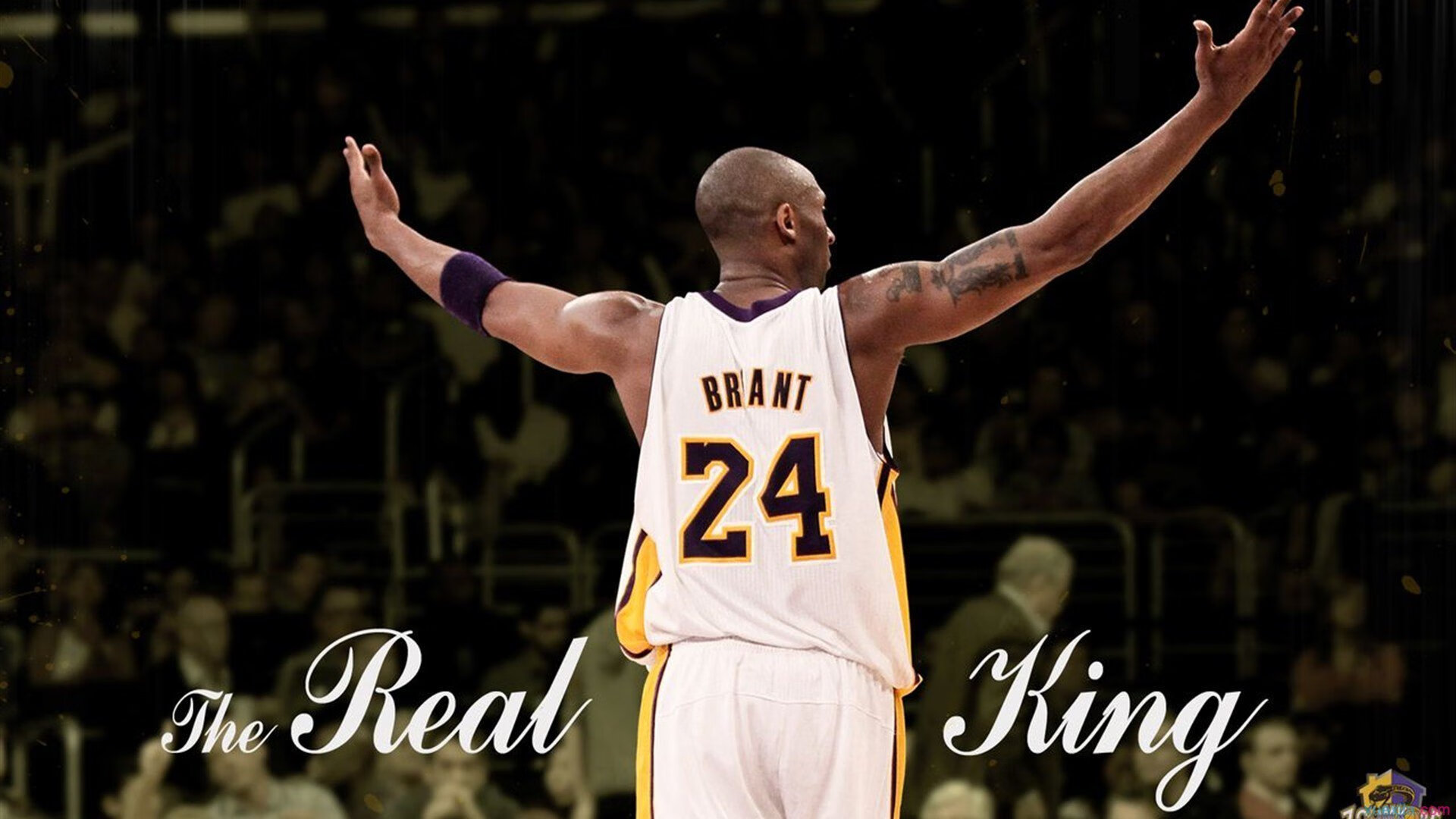 混合泳接力对比：美队交接最流畅，混合泳混合接力