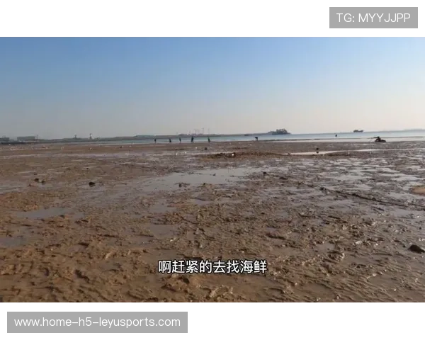 台风过后惠州赶海盛况引发生态与经济双关注，惠州市赶海最佳位置